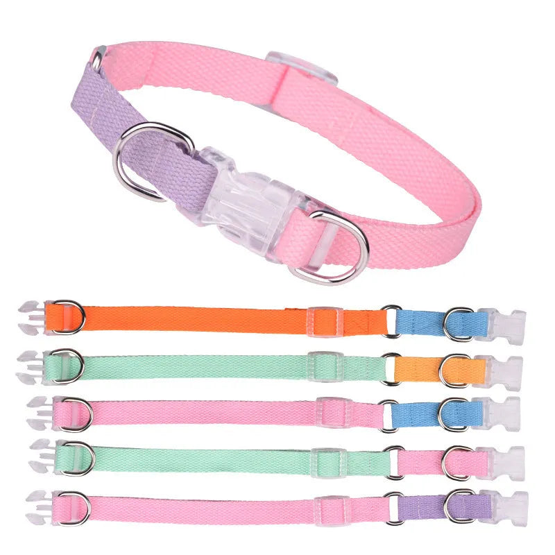 Polyester dog collar and leash set in bright two-colour combination showing collar, hand-held rope, and chest strap components