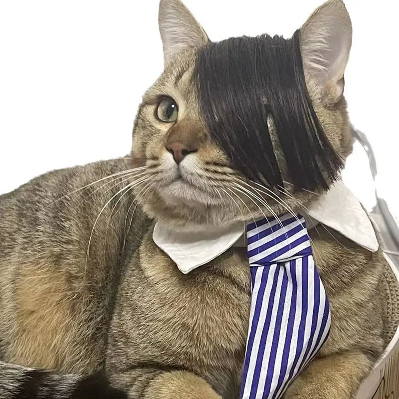 Black polyester cat wig with imitation braid design for feline dress-up