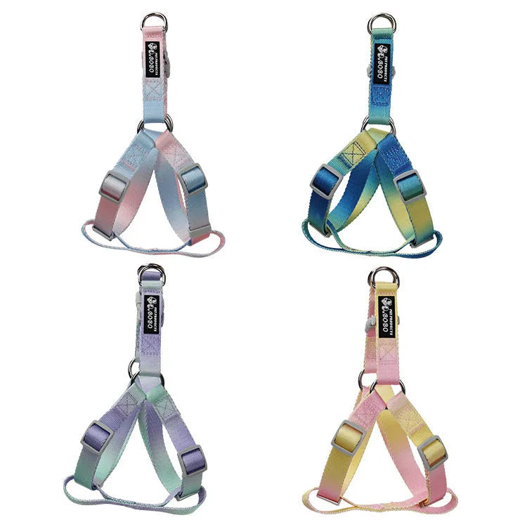 Nylon dog leash set showing gradient colour options including pink/blue, pink/yellow patterns