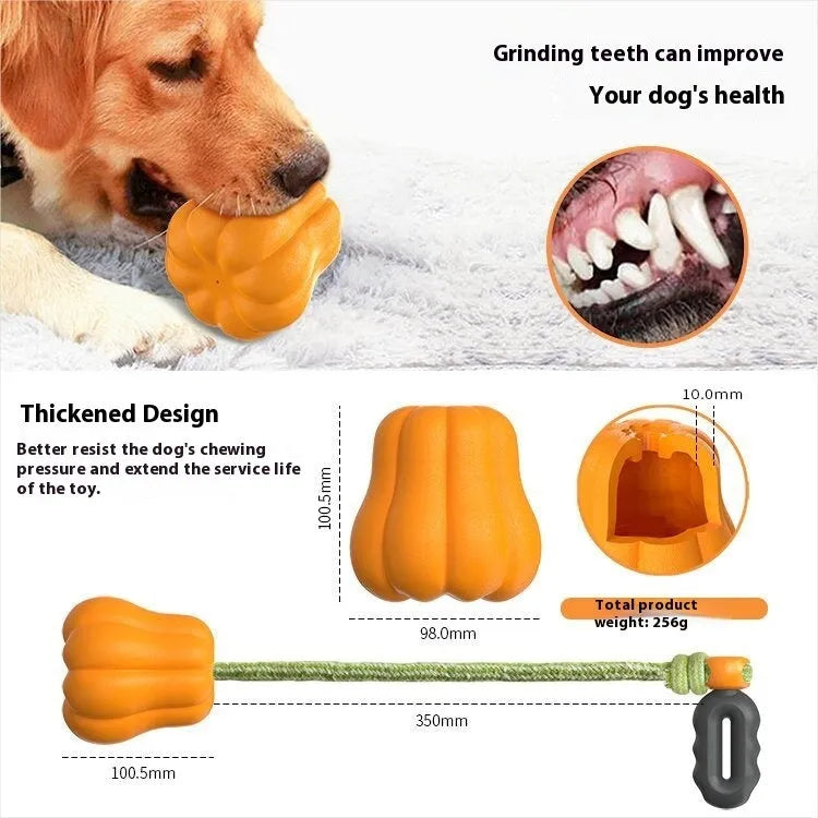 Orange pumpkin design plastic dog toy with rope attachment for long throws