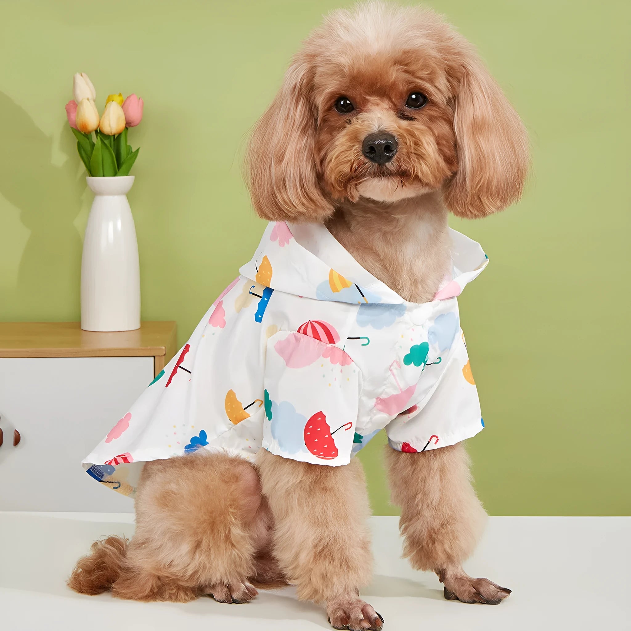 Colourful cartoon umbrella pattern dog or cat raincoat in polyester fabric.