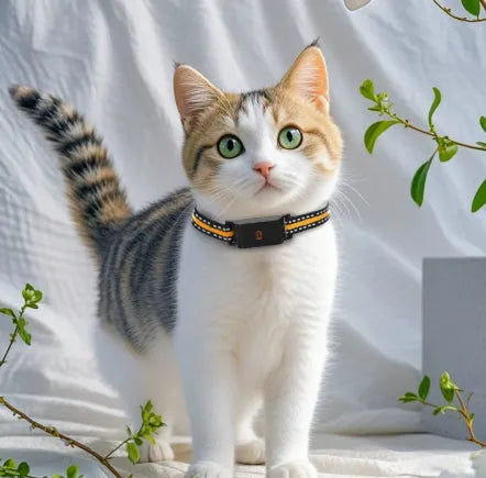 Pet global positioning collar in black and green made from ABS material for dogs and cats