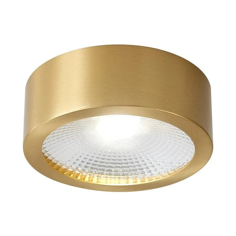 All-copper surface mounted LED downlight available in 8cm, 10cm, 12cm diameters with adjustable colour temperature 3000K-6000K