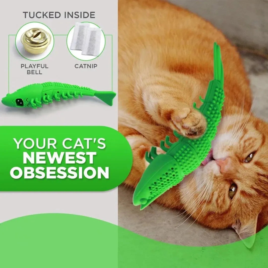 Blue hard rubber cat toy with textured surface for dental cleaning, featuring catnip and a bell inside.