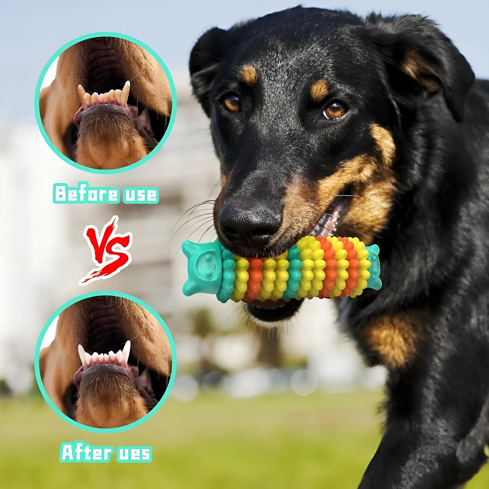 Blue natural rubber caterpillar-shaped dog chew toy on a plain background.