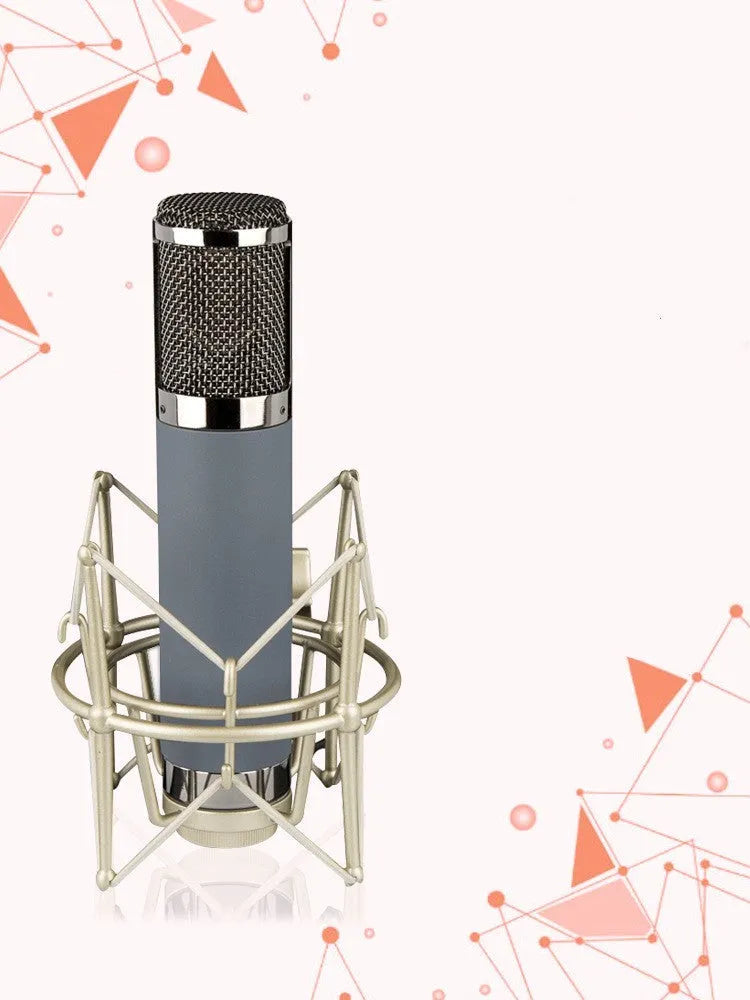 Condenser microphone with 34mm gold diaphragm and cardioid pickup on shockproof rack