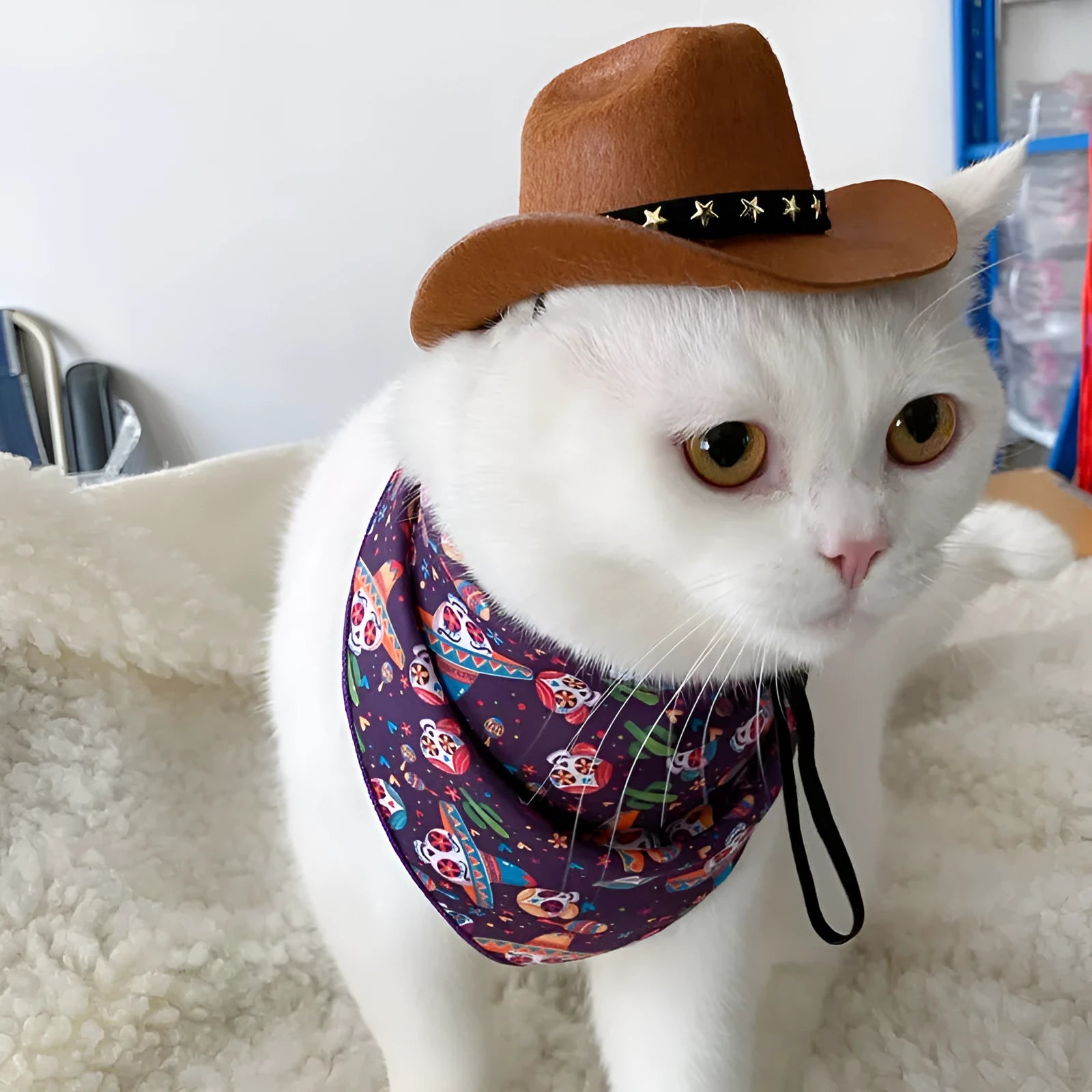 British-style cat cowboy hat with ribbon decorations in non-woven fabric