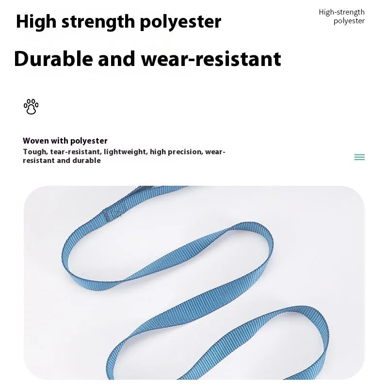 Solid colour polyester dog training rope with hand-holding loop in blue, showing length and simple construction