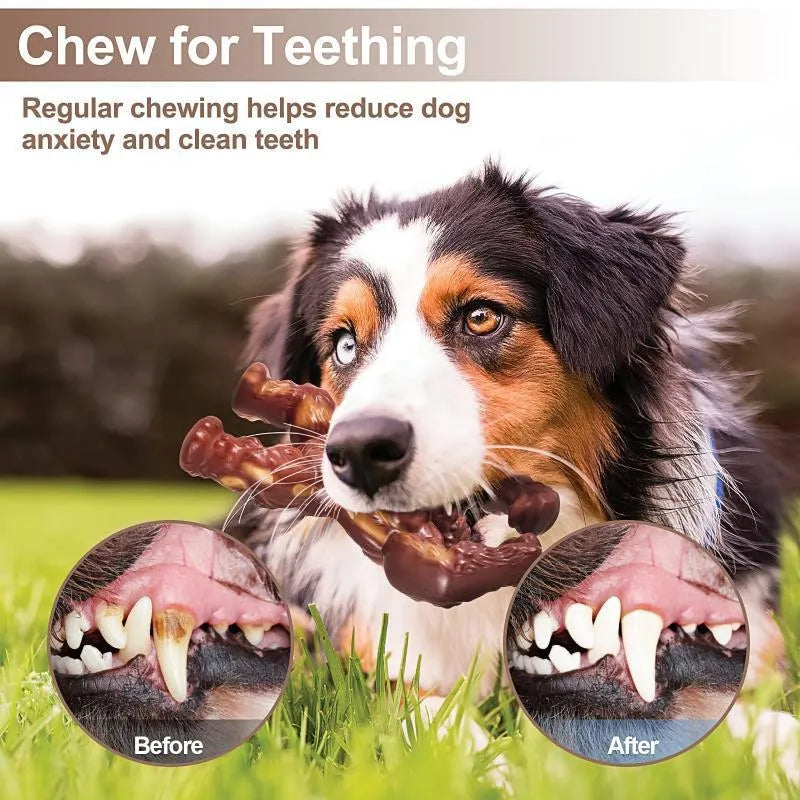 Scarlet nylon dog molar nibbling toy with beef flavour and textured grooves for dental care