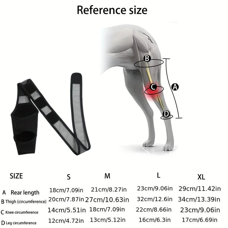 Pet knee pad for dog joint injury recovery with adjustable belt on a light background, S to XL sizes available