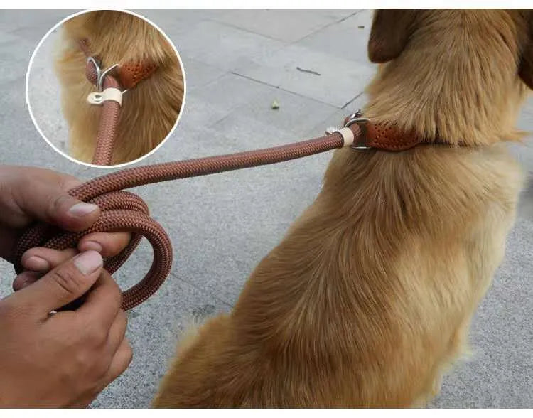 Brown nylon P chain dog leash with 2.1 metre length showing thickness variation