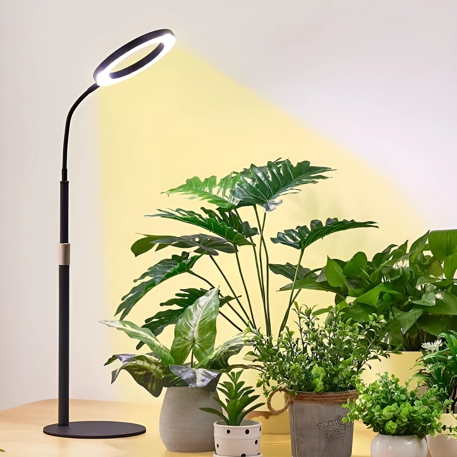 6-inch angel ring retractable floor plant grow light with aluminium alloy shell and LED illumination