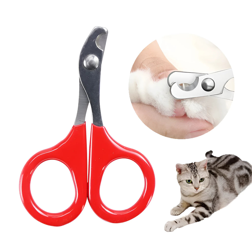Stainless steel pet nail clippers with coloured plastic rubber handle for dog cat grooming