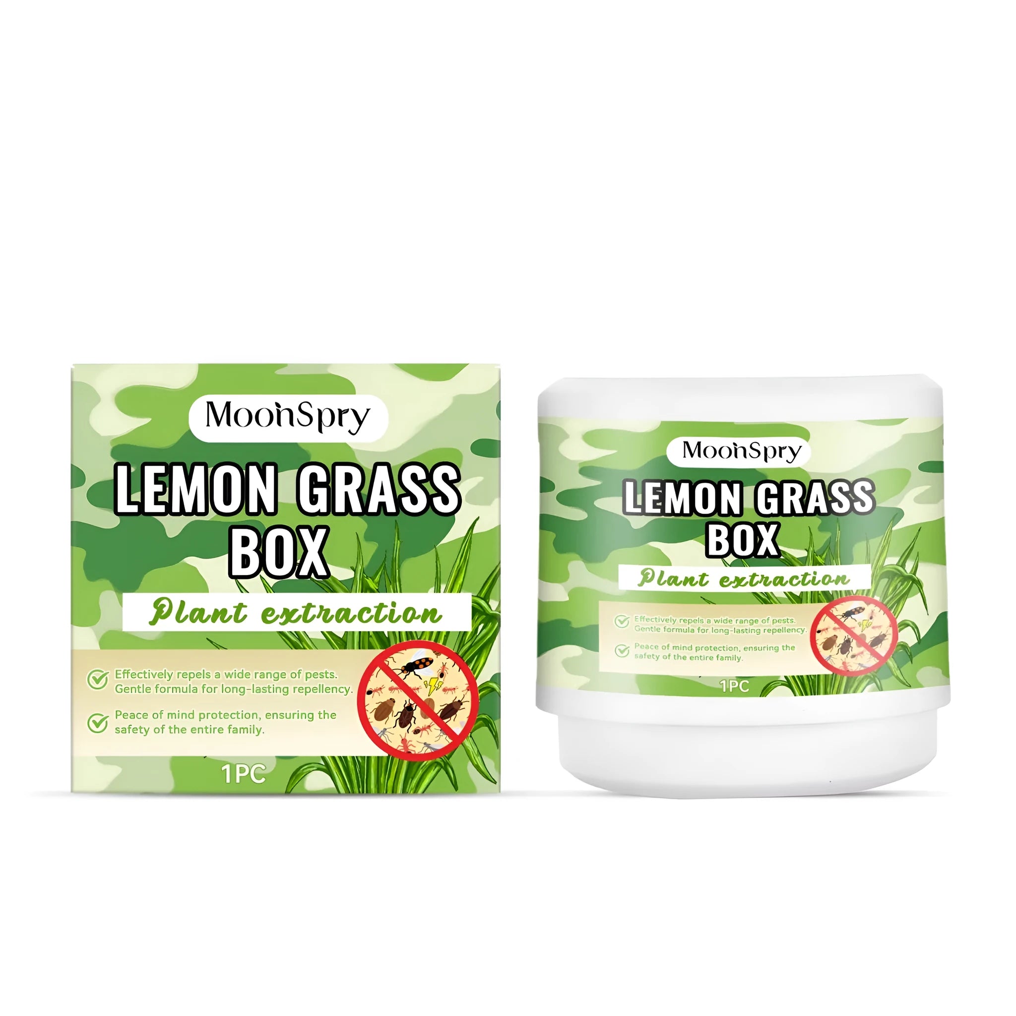 Single fresh lemon grass plant in a box with long green stalks for cooking and tea