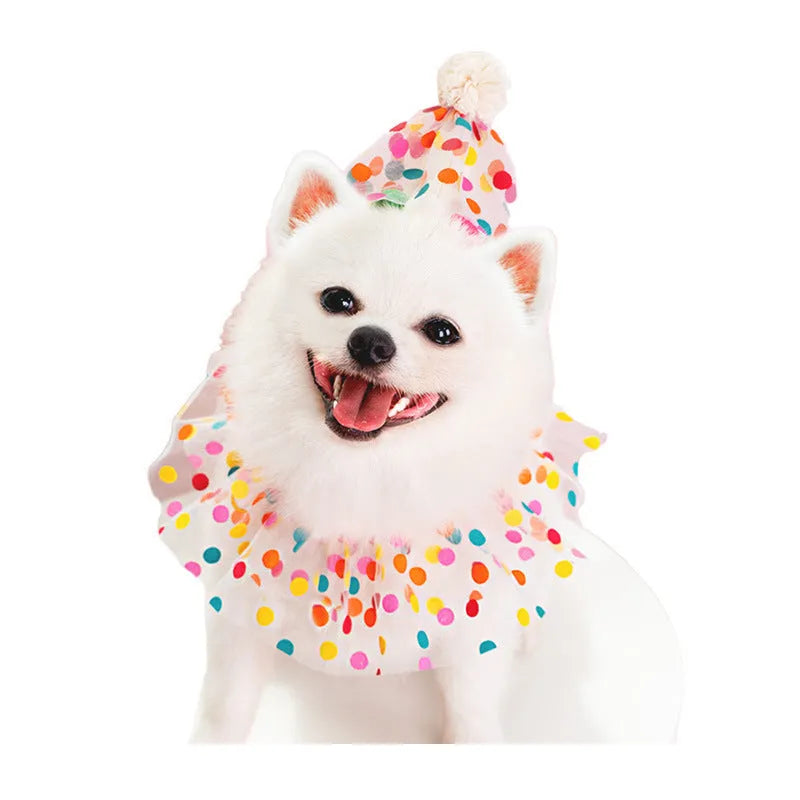 Pet dog wearing polka dot lace bib birthday suit with matching hat and colourful dot pattern