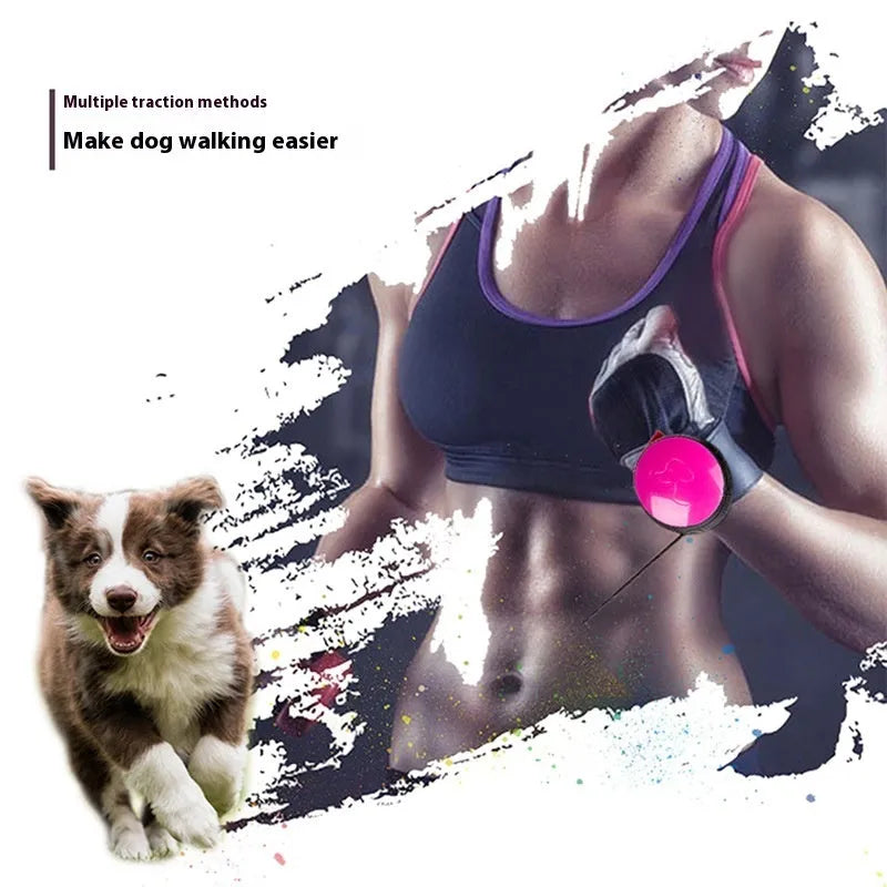 Retractable dog leash extended to 3 metres with automatic mechanism and six colour options