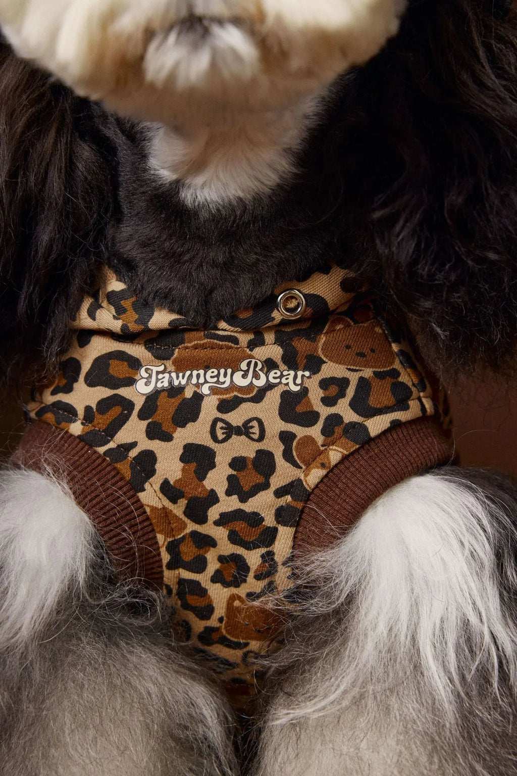 Leopard print sleeveless hooded dog sweater in coffee colour on small breed dog