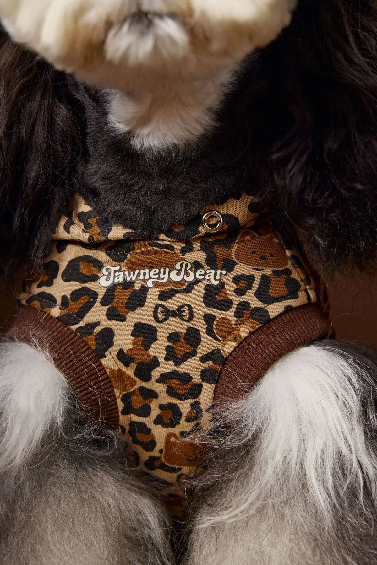 Leopard print sleeveless hooded dog sweater in coffee colour on small breed dog