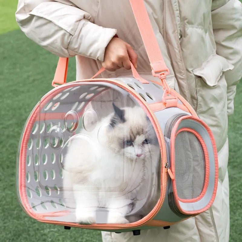 Transparent EVA hard-shell cat backpack carrier in large 42cm size showing space capsule design