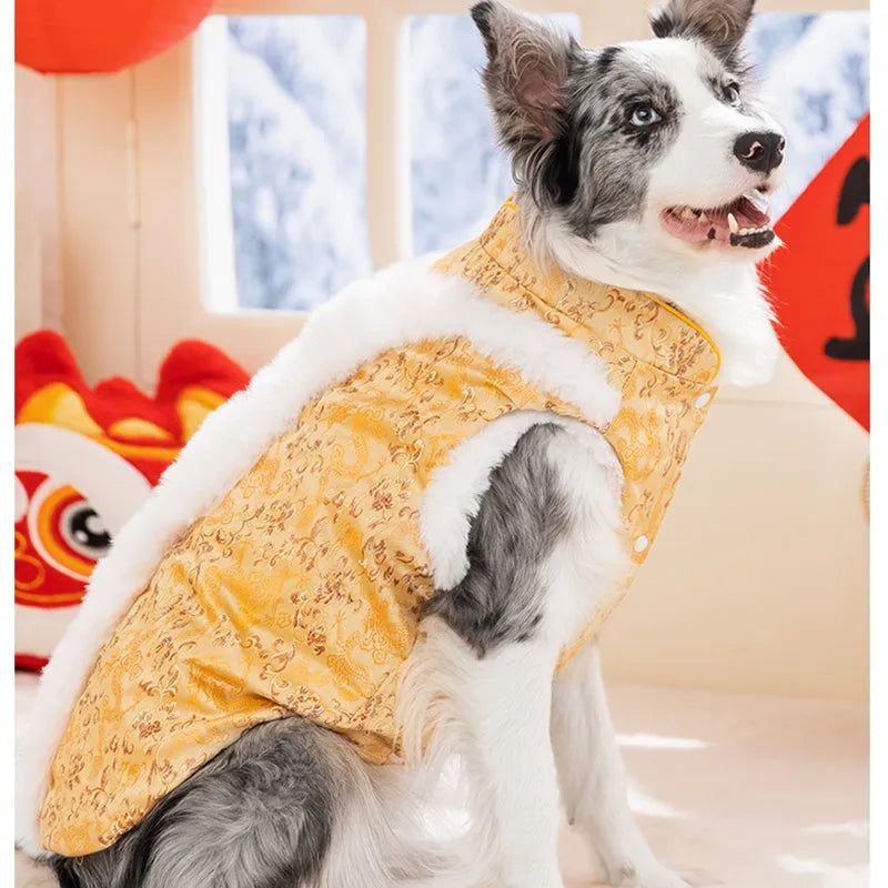 Red brocade pet dog Tang suit with dragon embroidery, faux fur trim, and knot buttons on a large dog
