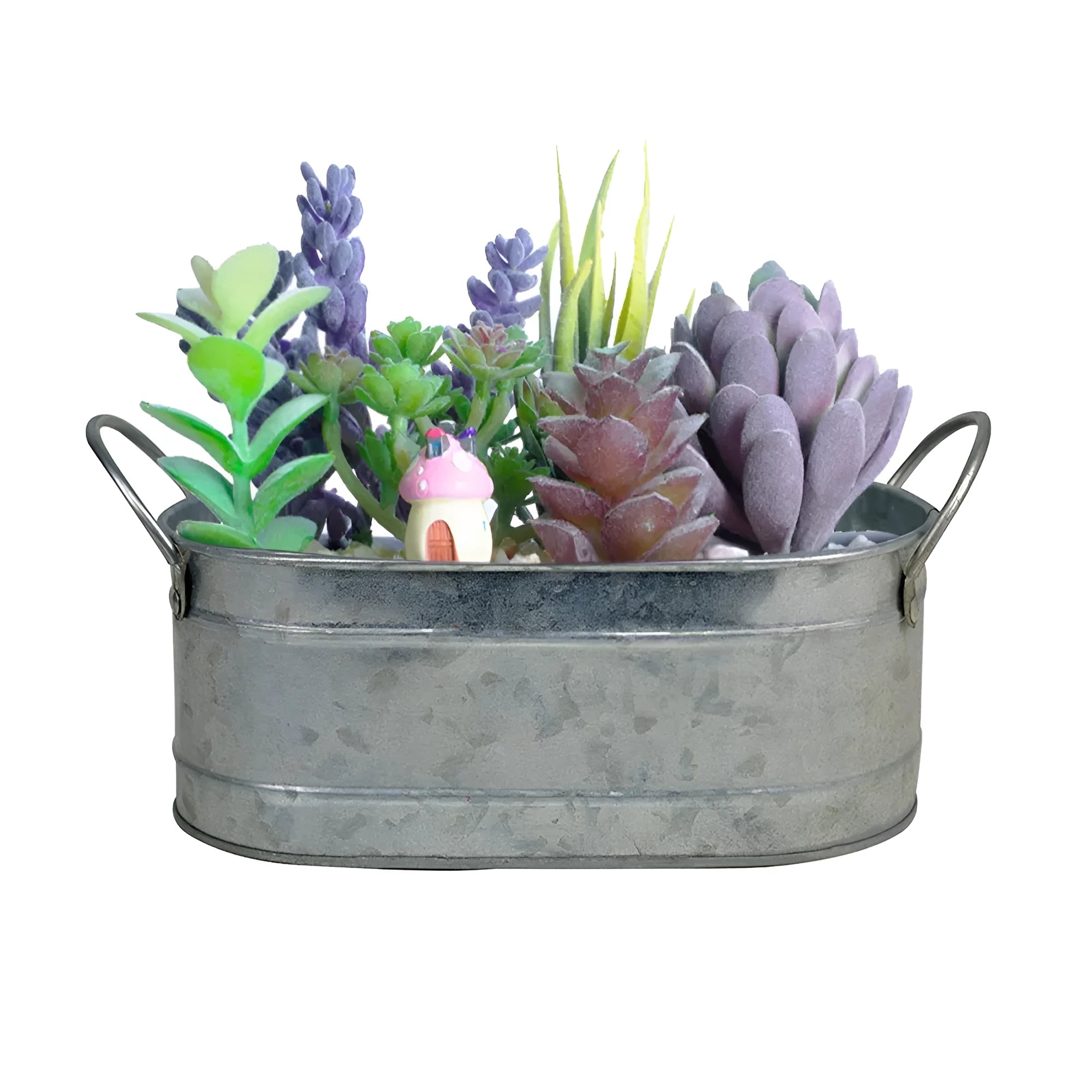 Iron desktop flowerpot for succulents and cacti with corrosion-resistant metal construction