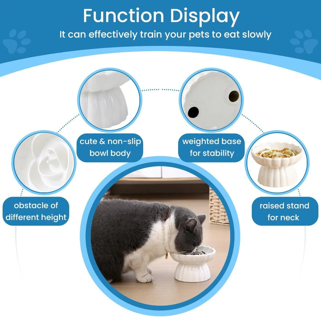 Ceramic flower pool slow feed dish for cats and small dogs with higher edges, in white