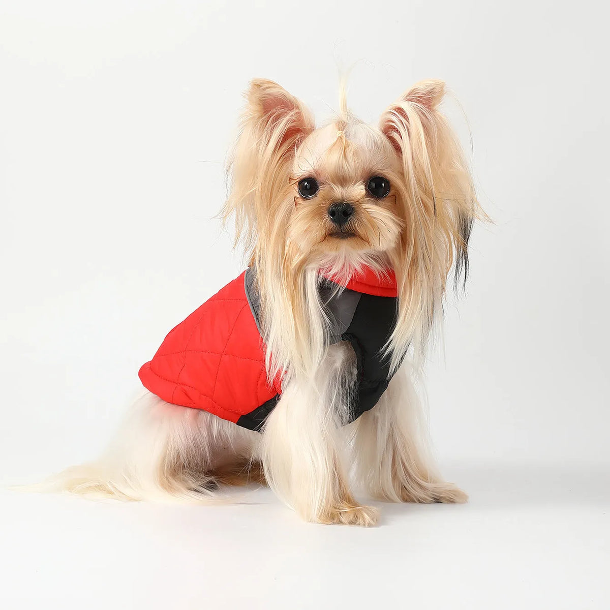 Cotton-padded pet ski suit in contrast colour diamond plaid, waterproof polyester, black grey or red grey, sizes XS-XL