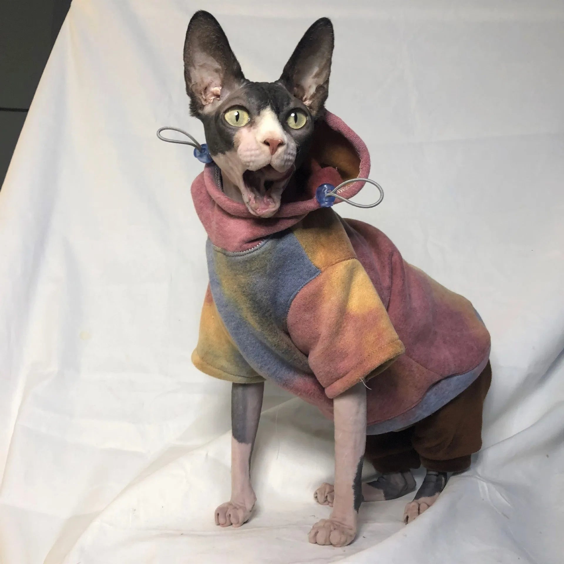 Tie-dye hooded sweater for pets in cotton with velvet lining, autumn winter coat for cats and dogs