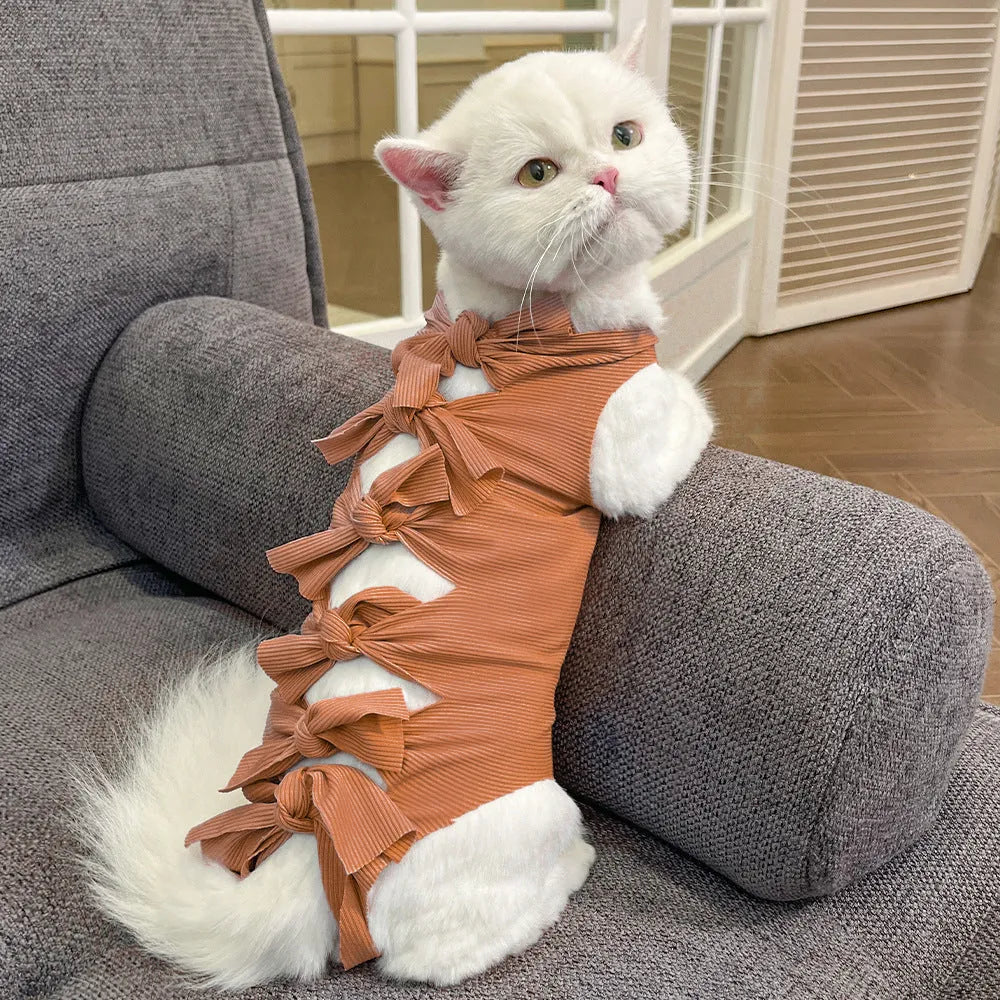 Cat wearing blue polyester recovery suit with lace-up back closure after sterilisation surgery