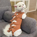 Cat wearing blue polyester recovery suit with lace-up back closure after sterilisation surgery