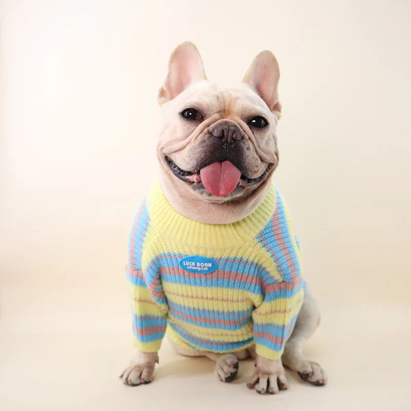 Blue and yellow striped wool dog sweater for small breed dogs in casual winter style