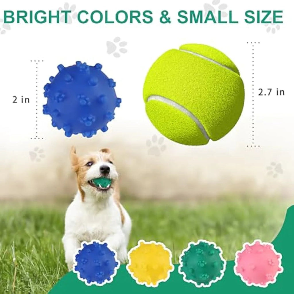 Four brightly coloured spiky dog toy balls with paw-print dimples, shown next to a small dog.