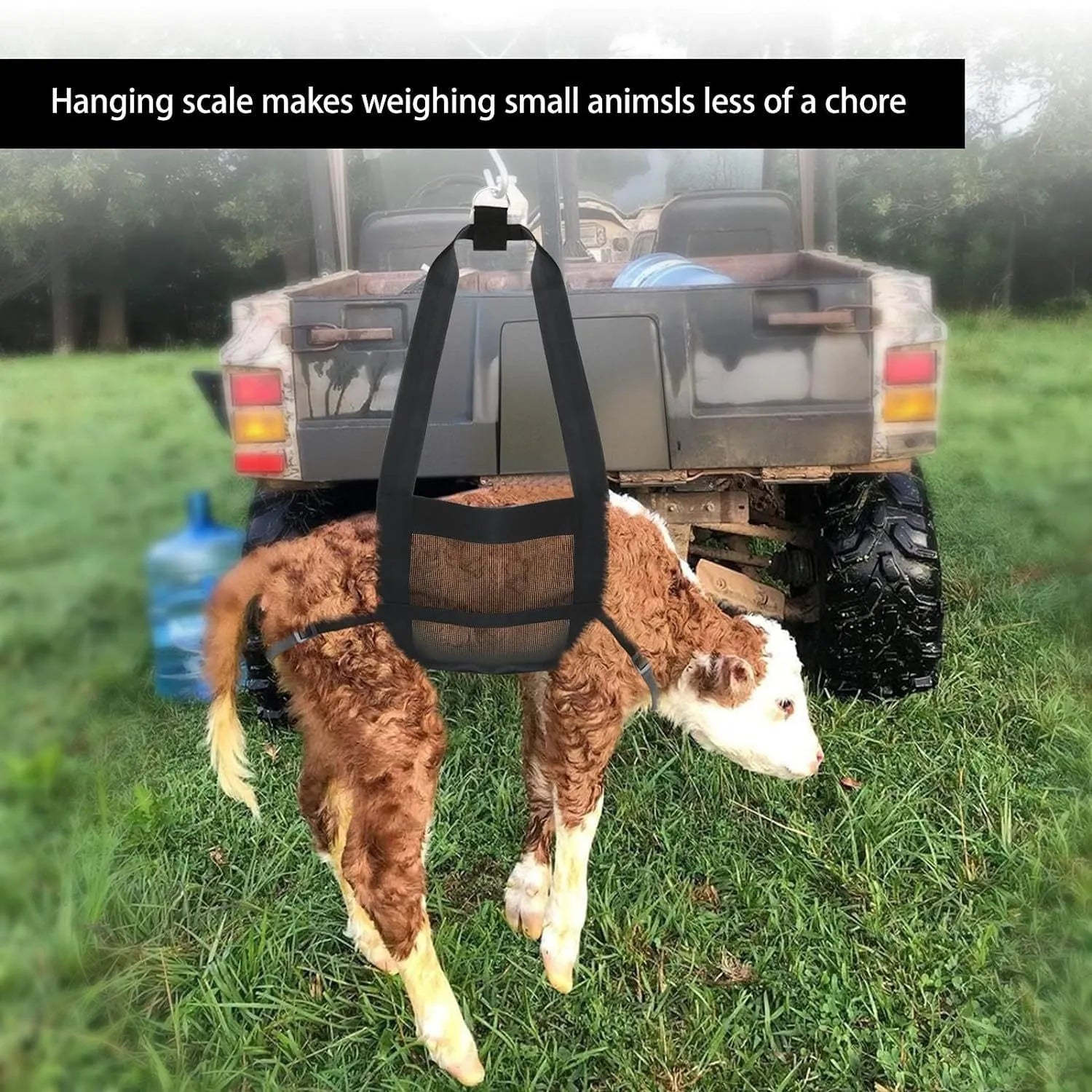 Black polyester calf weighing sling measuring 35cm by 150cm with reinforced handling points