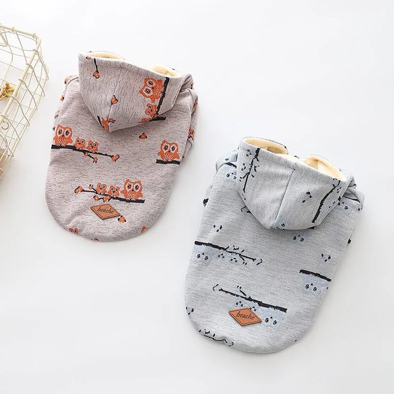 Blue cotton dog sweater with front zipper closure on small dog