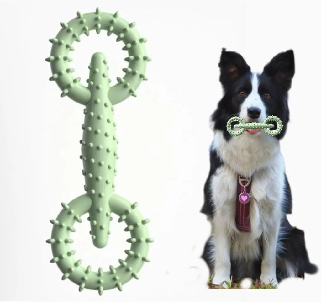 Blue TPR dog chew toy ring with textured surface for puppy teething and dental care