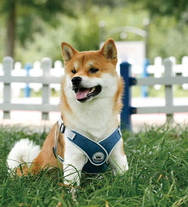 Adjustable green mesh dog harness with metal ring and leash on a mannequin.