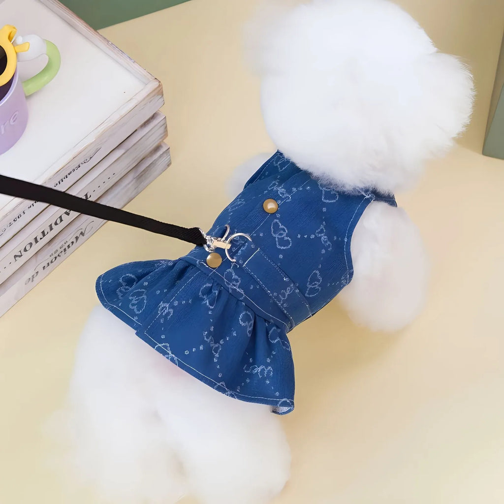 Teddy Bichon wearing denim princess dress with bracket-skirt design, small dog spring clothing