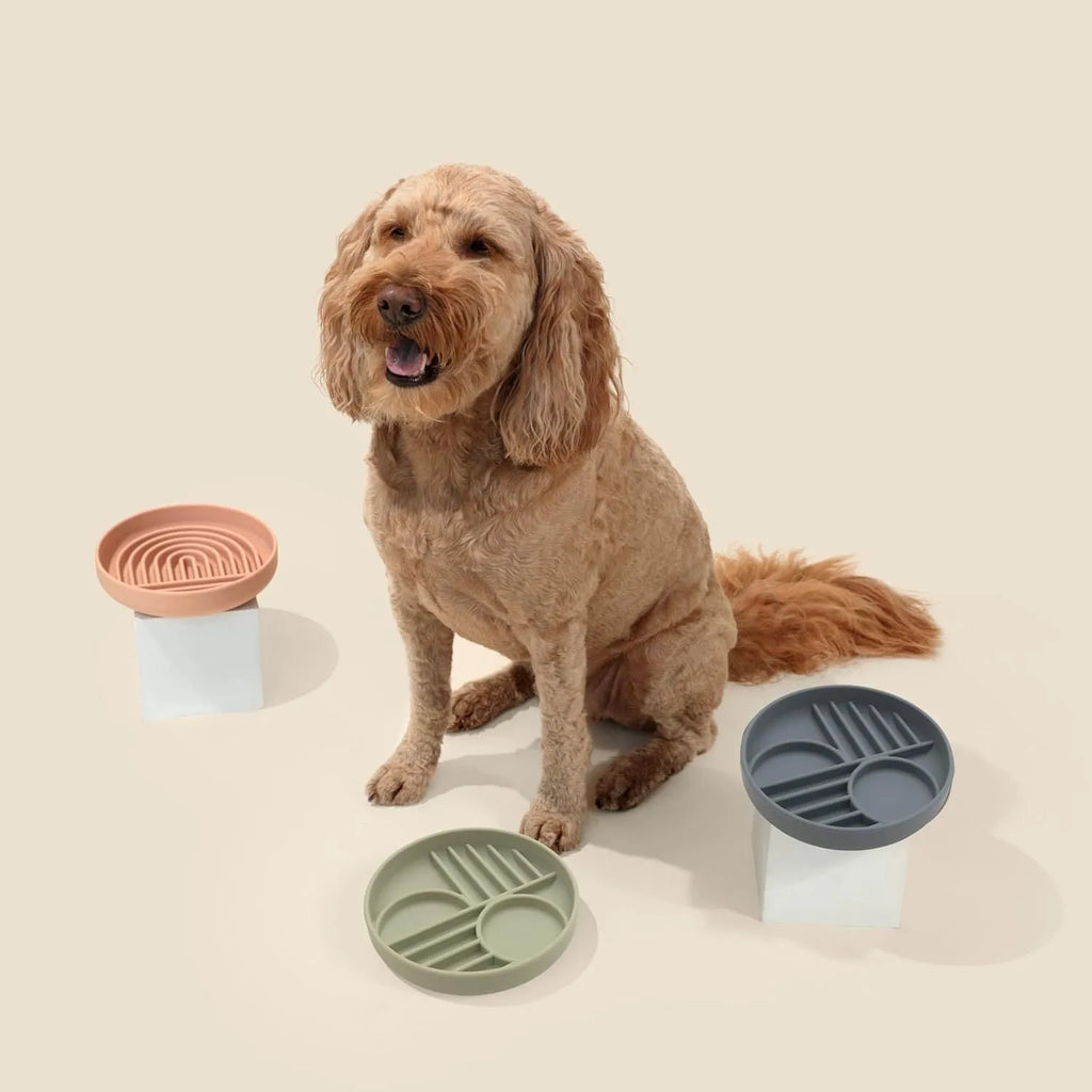 Silicone slow feeder dog bowl with textured ridges, shown in a choice of colours including beige and charcoal ash.