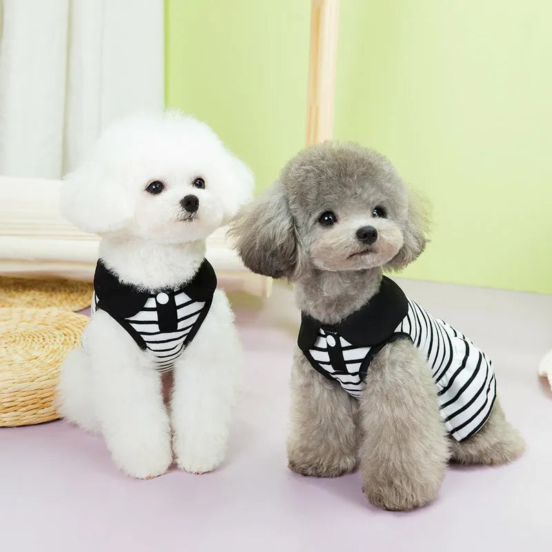 Summer stripes cotton t-shirt and skirt set for dogs in coordinated pet clothing