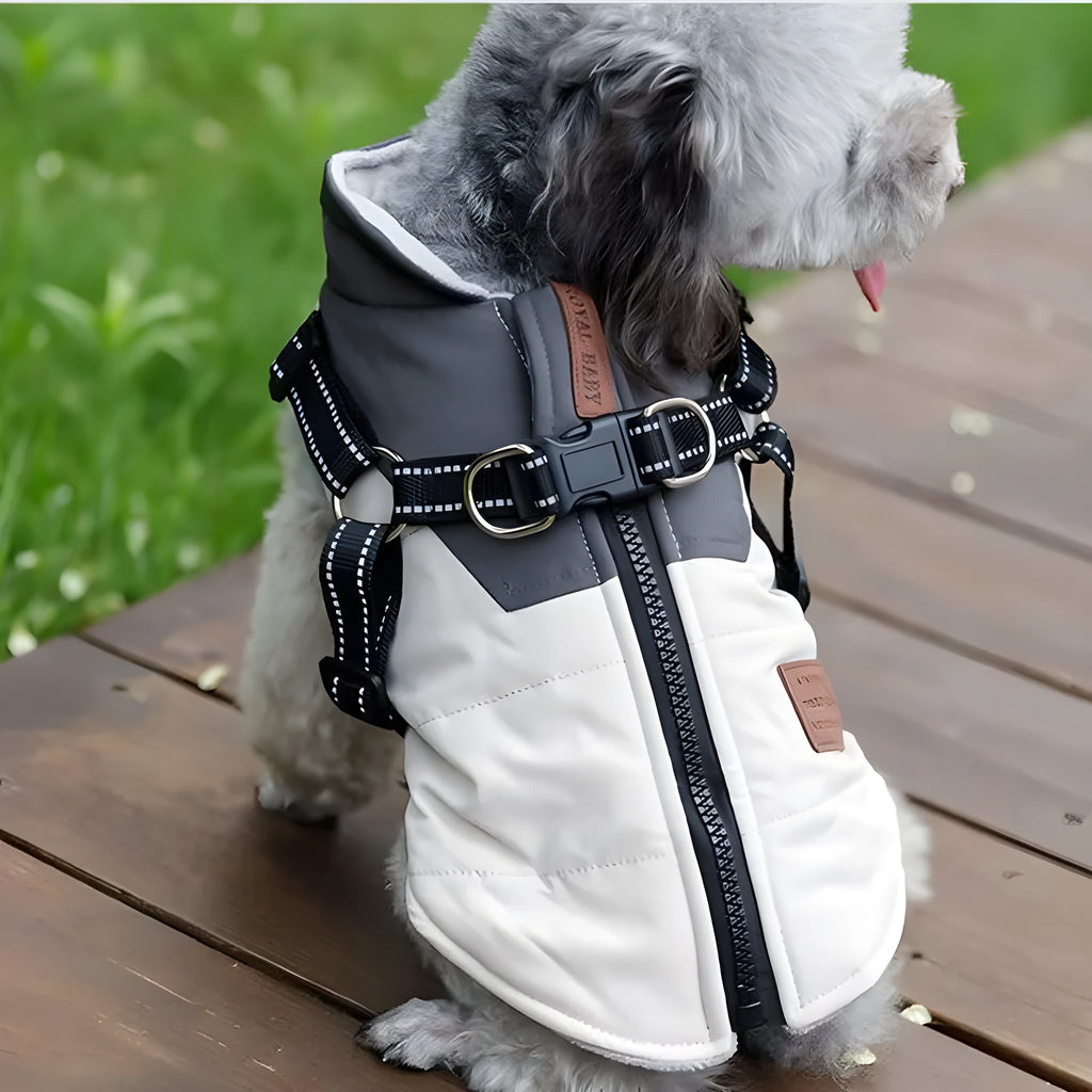 Winter warm dog vest with towing ring in graphite gray, jade green, or pale blue, cotton, sizes S-XXL.