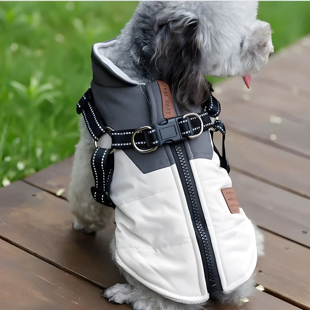 Winter warm dog vest with towing ring in graphite gray, jade green, or pale blue, cotton, sizes S-XXL.