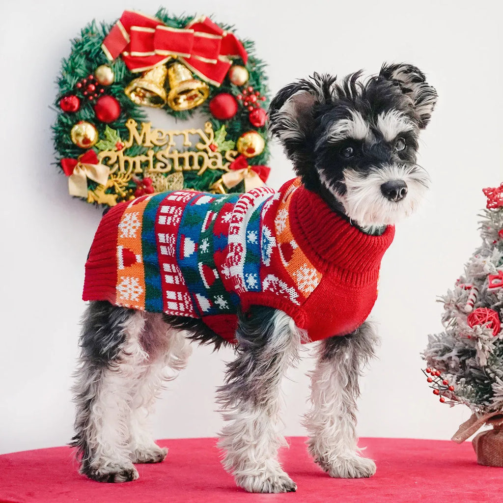 Pet dog wearing a red and green Christmas turtleneck wool sweater, side view