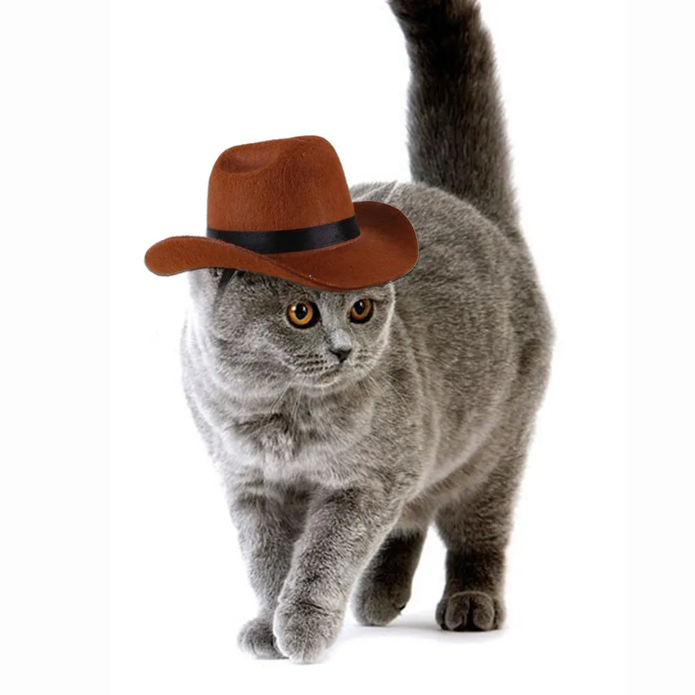 A brown adjustable cowboy hat for a small dog or cat on a white background.