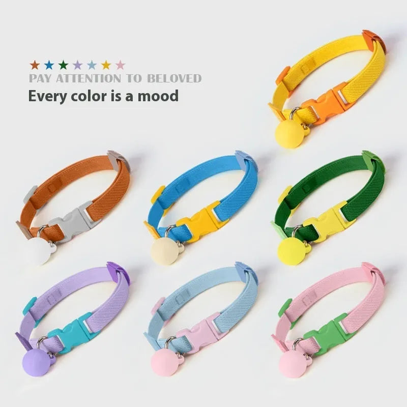 A high elasticity polyester dog collar for small dogs, shown in one of seven colours: yellow, pink, sky blue, purple, brown, dark blue or dark green.