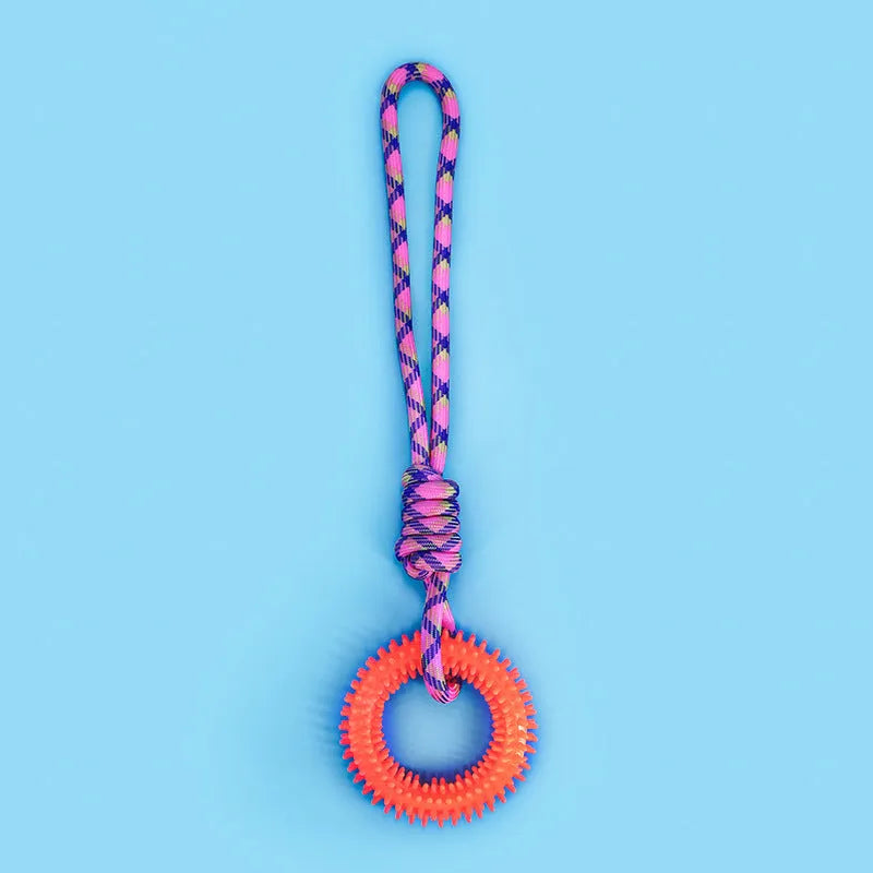 Blue braided rope knot dog toy showing knotted design and textured surface