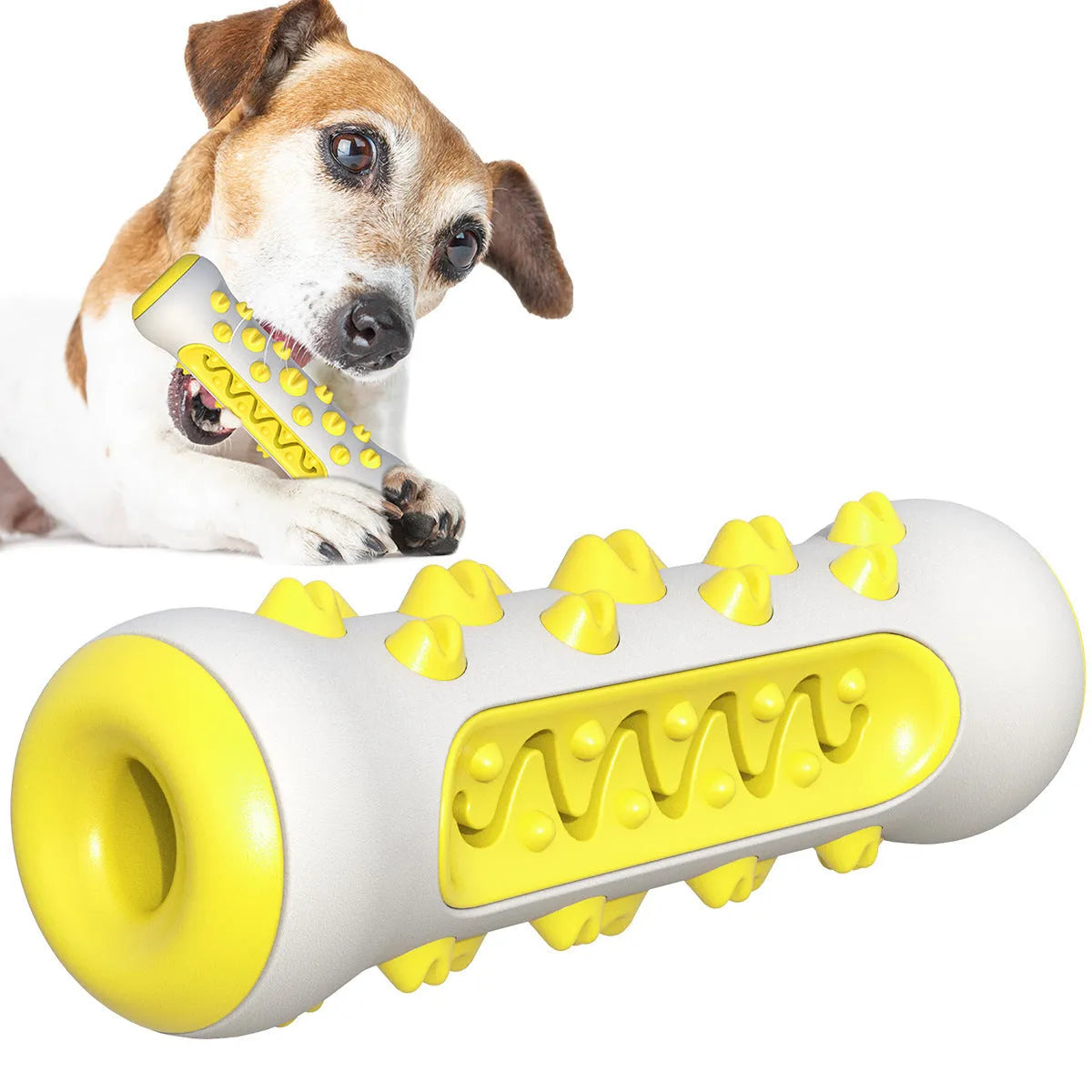 Natural rubber dog dental chew toy in blue, green, yellow, or black blue, showing textured cleaning surfaces.