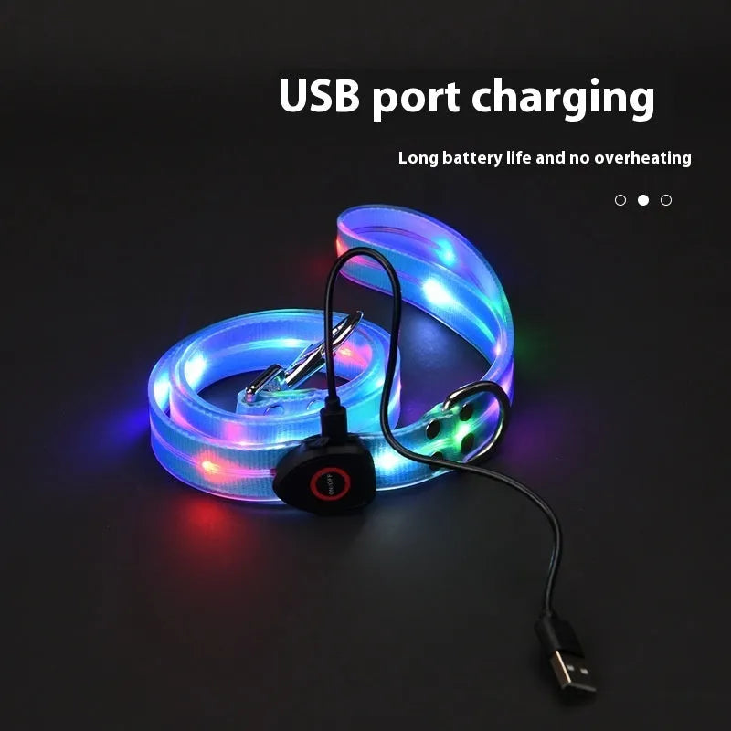 LED light-emitting pet collar and hand holding rope in orange for dog or cat visibility