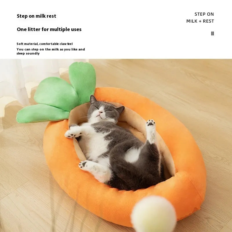 Double-sided pet mattress with removable carrot cartoon design cloth cover