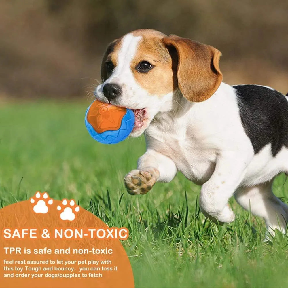 Set of three TPR dog toys: a squeaky tyre, barbell and ball for floating fetch play.