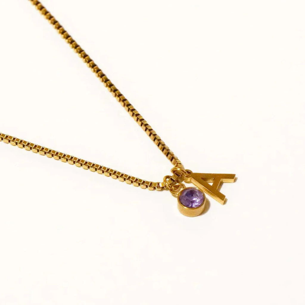 Stainless Steel Birthstone First Letter Necklace Personalised Gold or Silver Initial Pendant with O-Ring Chain and Electroplated Finish for Monthly Birthstone Customisation Jewellery Gift Options A B C D